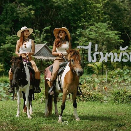 ไร่นาบัวหลวง คาเฟ่ & ฟาร์มสเตย์ Raina Bualuang Cafe & Farm Stay Ban Na No Exterior foto
